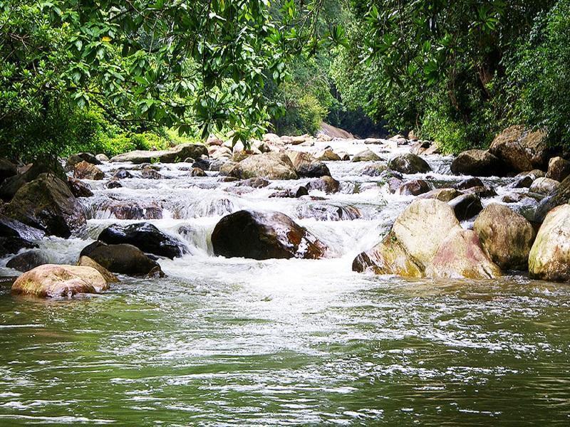 Peter'S Coffee Creek Nature Resort Meppadi Luaran gambar