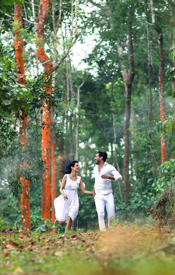 Peter'S Coffee Creek Nature Resort Meppadi Luaran gambar