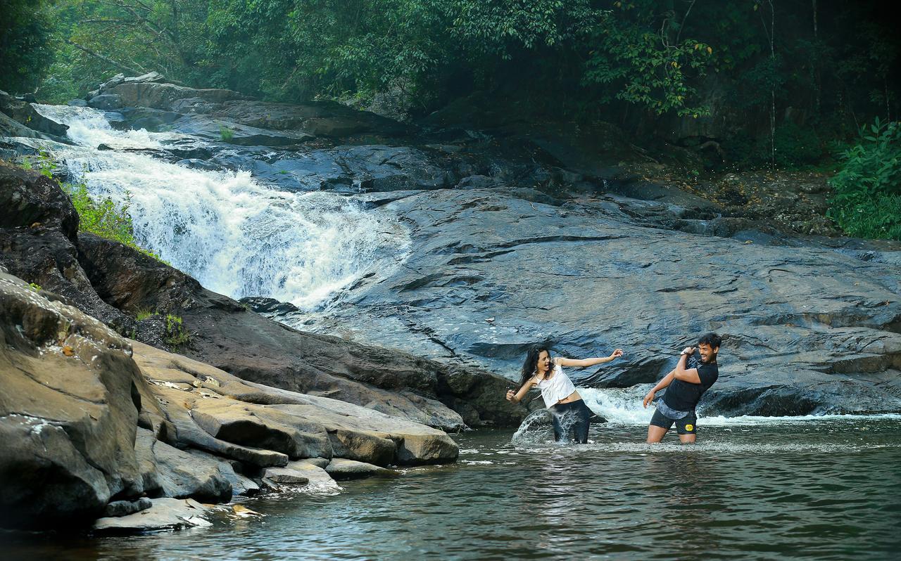 Peter'S Coffee Creek Nature Resort Meppadi Luaran gambar