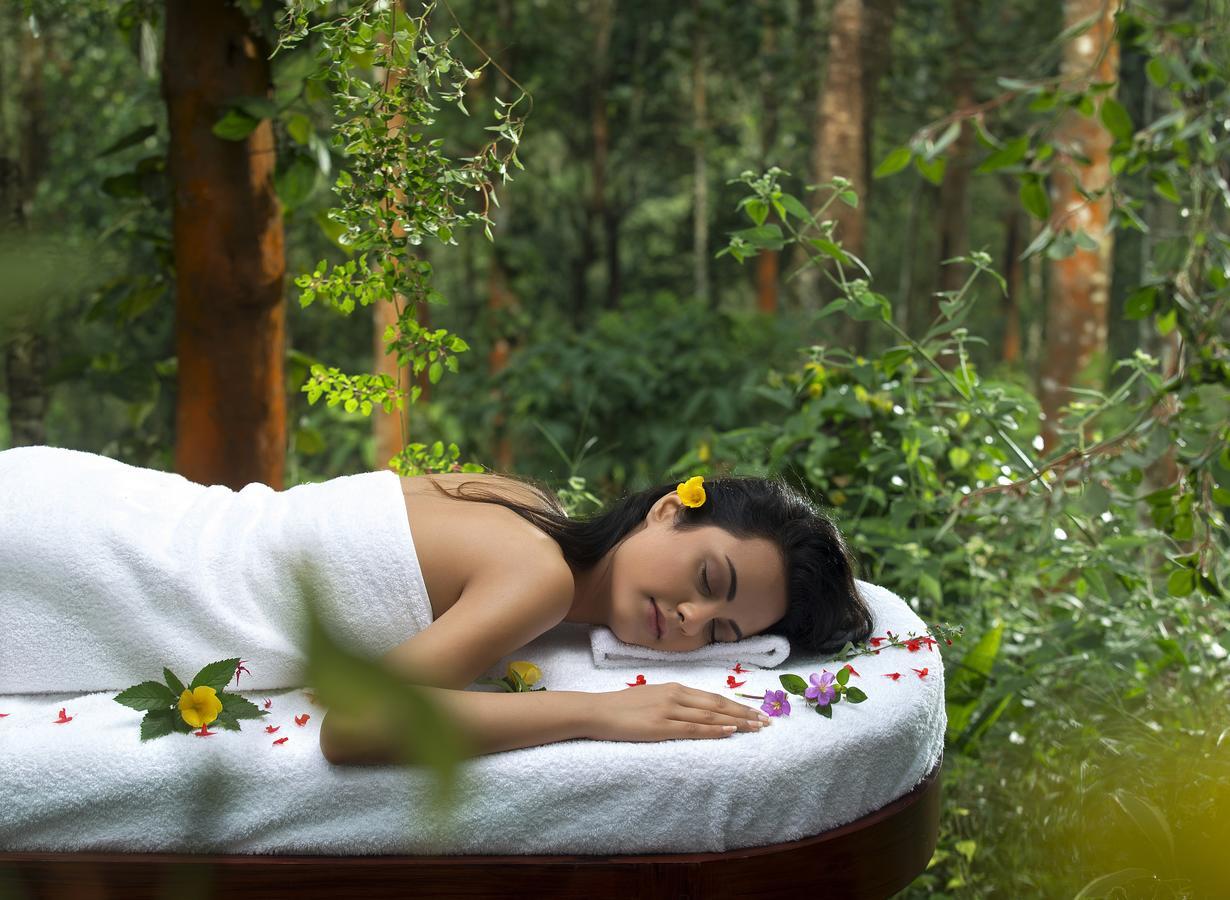 Peter'S Coffee Creek Nature Resort Meppadi Luaran gambar